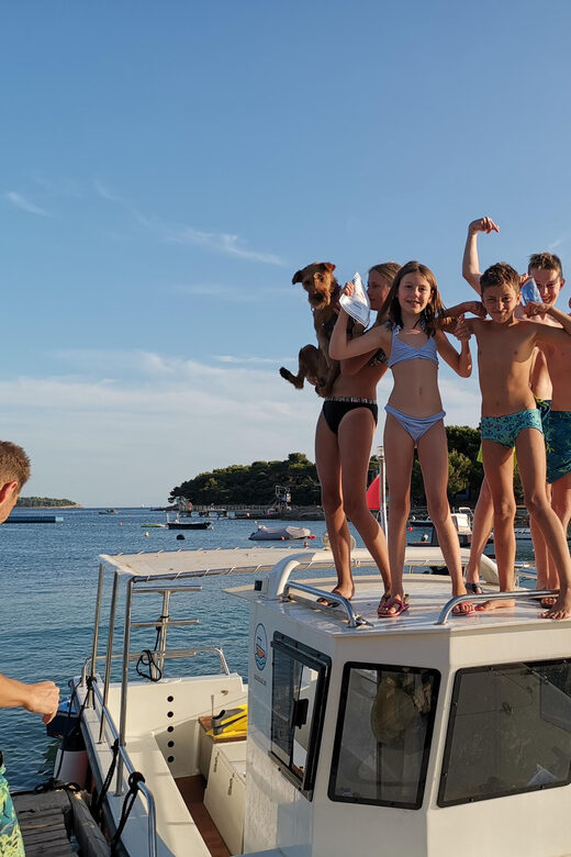Pula Dolphin Watching Boat Trip - A Detailed Look at the Pula Dolphin Watching Experience