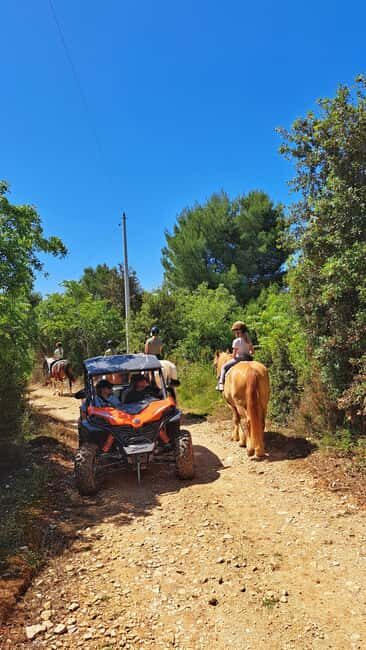 Pula: Family Buggy 4-seater 2.5h Kamenjak Tour & Safari Bar - Final Thoughts