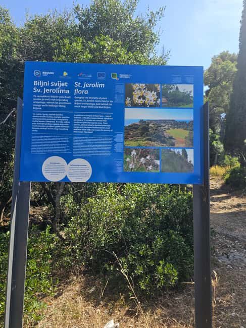 Pula: Kayak Tour to Island St. Jerolim and Kozada - From Water to Stories: The Return Paddle