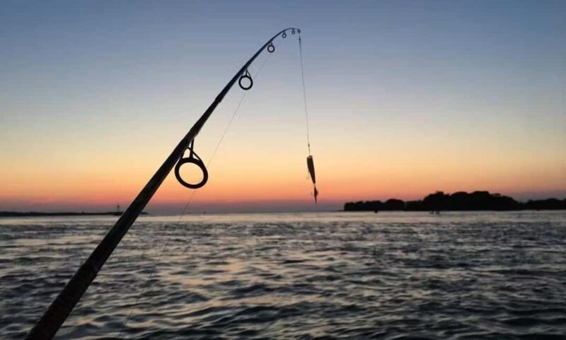 Pula: Private Boat Fishing Trip with Local Fisherman - The Sum Up