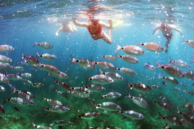 Pula PRIVATE Discover Scuba Diving - Final Thoughts: Is This Experience Worth It?