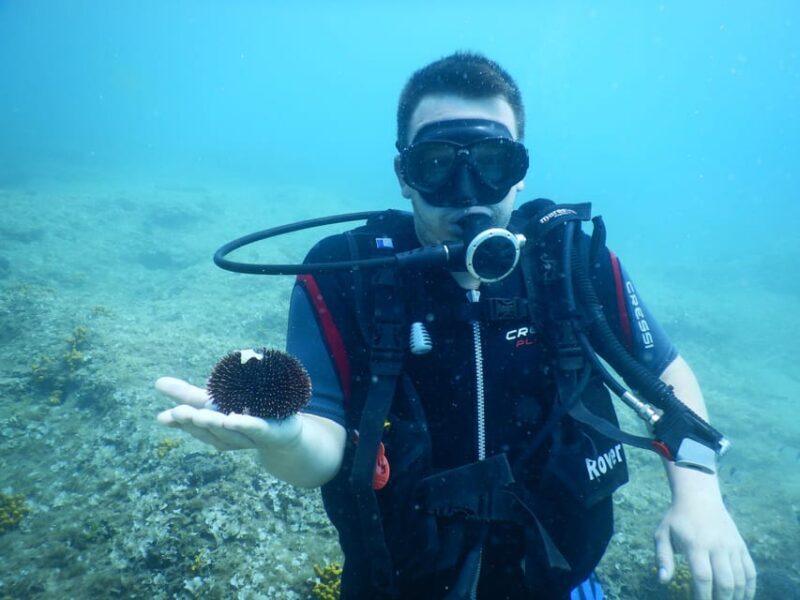 Pula: Private Introduction to Scuba Diving - FAQ