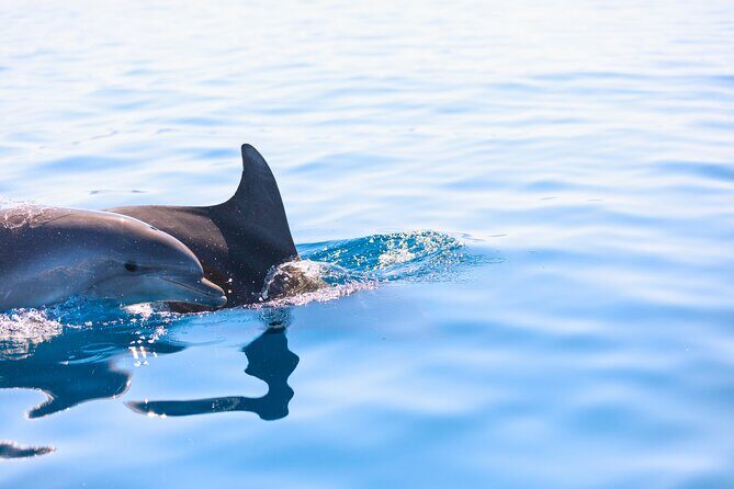 Pula Private Sailing Tour: 4-Hour Customizable Sail, Snorkel, SUP - Frequently Asked Questions