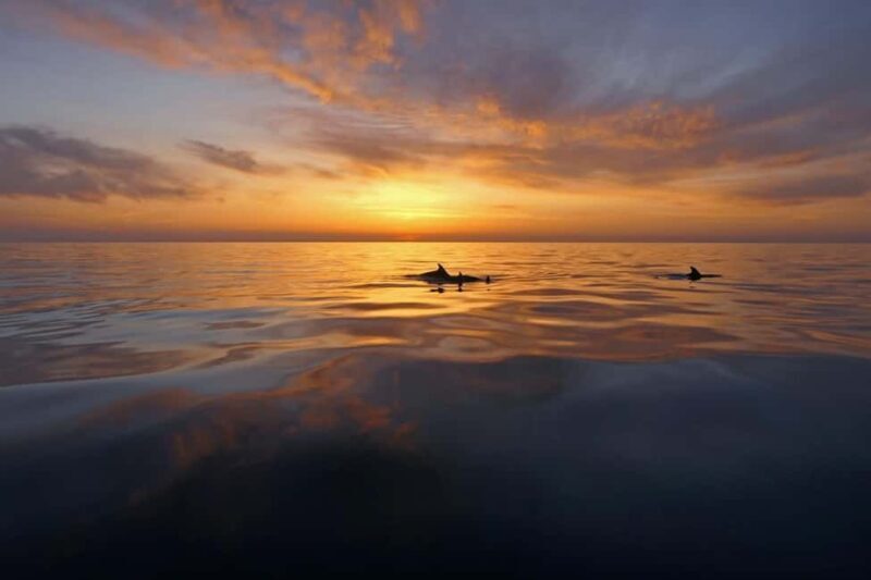 Pula: Private Sunset Boat Trip with Dolphins - Setting Sail from Pula: What to Expect