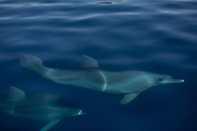 Pula Sunset Cruise: Brijuni Views, Drinks, Romance (Max 6 Guests) - Who Should Book This Tour?