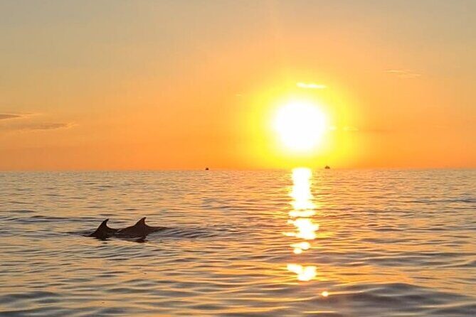 Pula Sunset Dolphin Cruise A Private Experience - The Itinerary: What to Expect