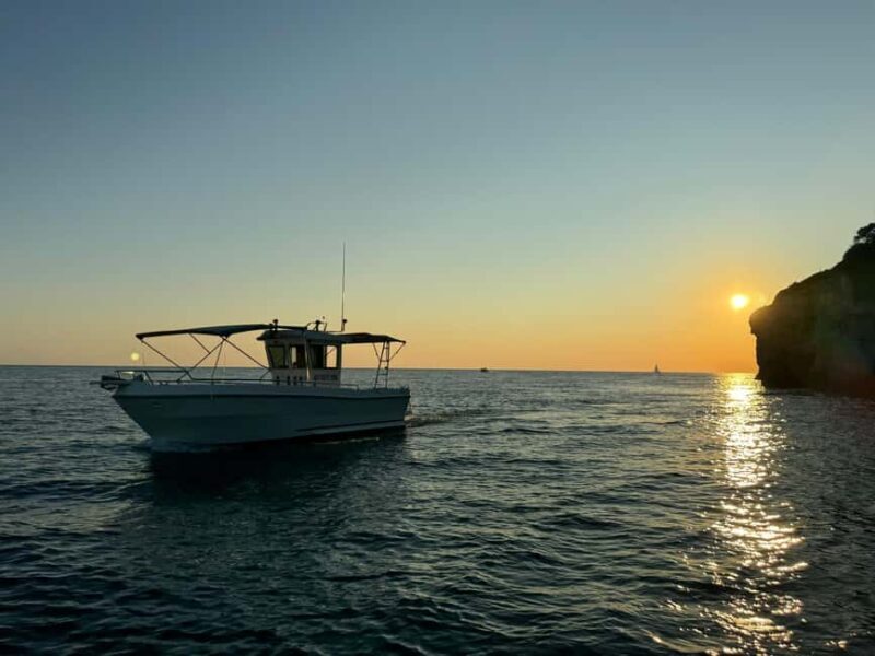 Pula: Sunset Dolphin Watching Boat Tour around N.P Brijuni - Final Thoughts