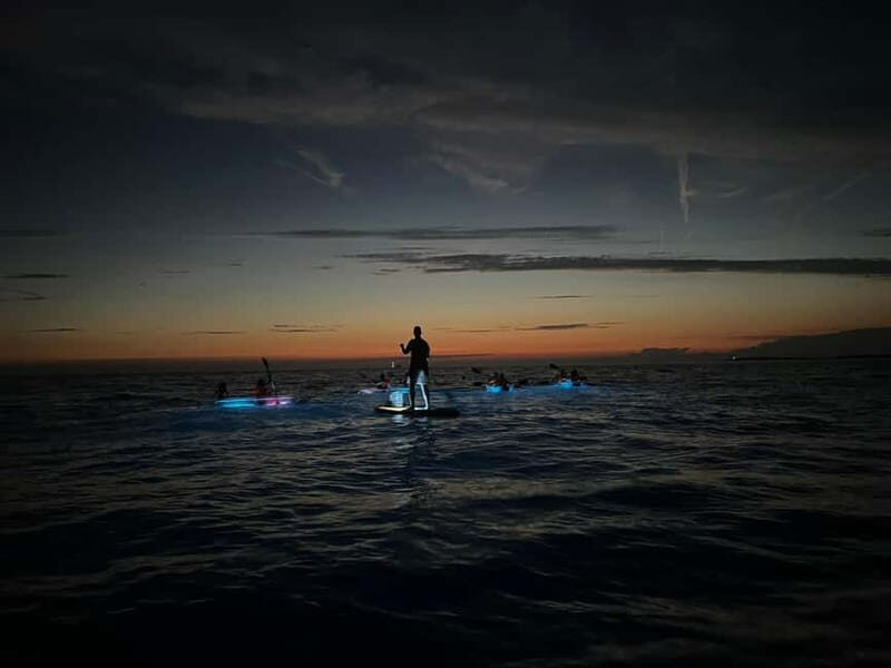 Pula: Sunset/Night Illuminated Transparent Kayak Tour - Who Will Love This Tour?