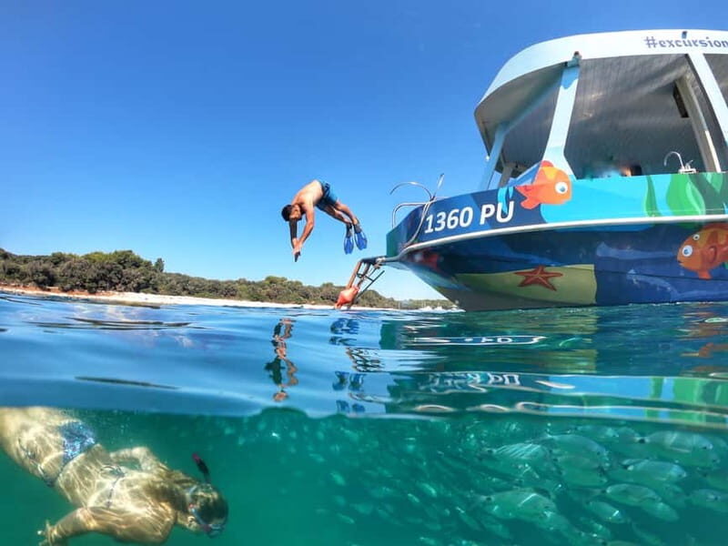 Pula Verudela: Glass-Bottom Boat and Swim with Fish Tour - An Introduction to the Experience