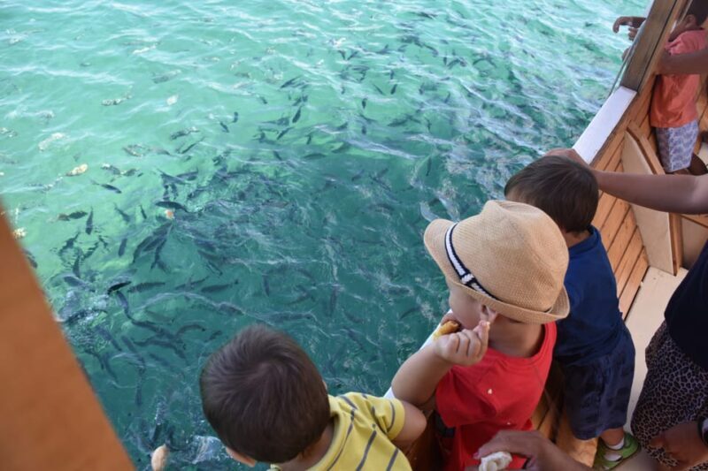 Pula Verudela: Glass-Bottom Boat and Swim with Fish Tour - Why This Tour Is a Great Choice