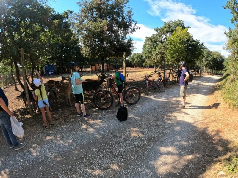 Pula-Vodnjan-Rovinj: E-Bike swim & forteress tour - Authentic Experiences from Reviews