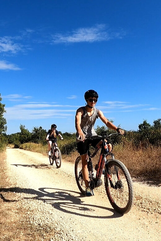 Pula-Vodnjan-Rovinj: E-Bike Tour with wine tasting - Who Should Consider This Tour?