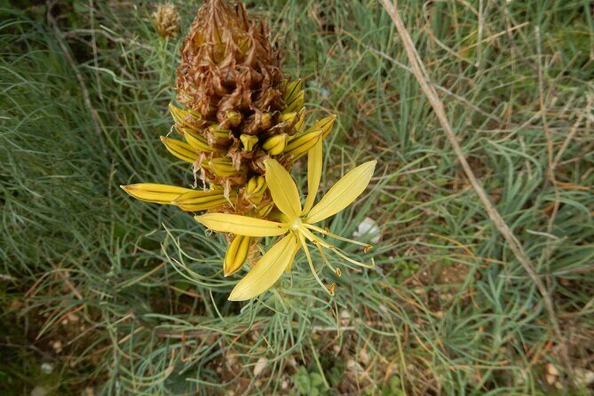 Pulo di Altamura: excursion in the Alta Murgia National Park - Final Thoughts