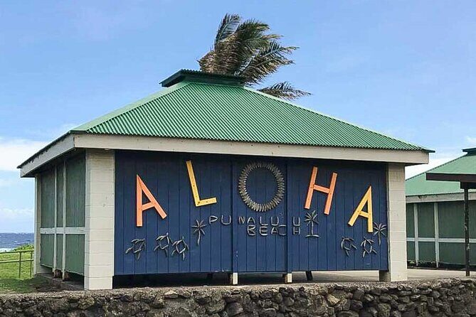 Punaluu Black Sand Beach Tour - Volcanoes National Park & Hilo - Transportation, Timing, and Group Size