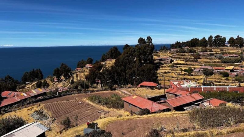 Puno: Full Day Floating Islands of the Uros + Taquile + Spanish/English Tour Guide - A Close Look at the Experience