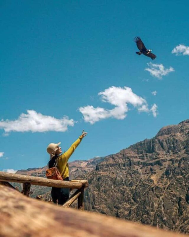 Puno to Arequipa: 2-Day/1-Night Colca Canyon Excursion - An In-Depth Look at the Two-Day Tour
