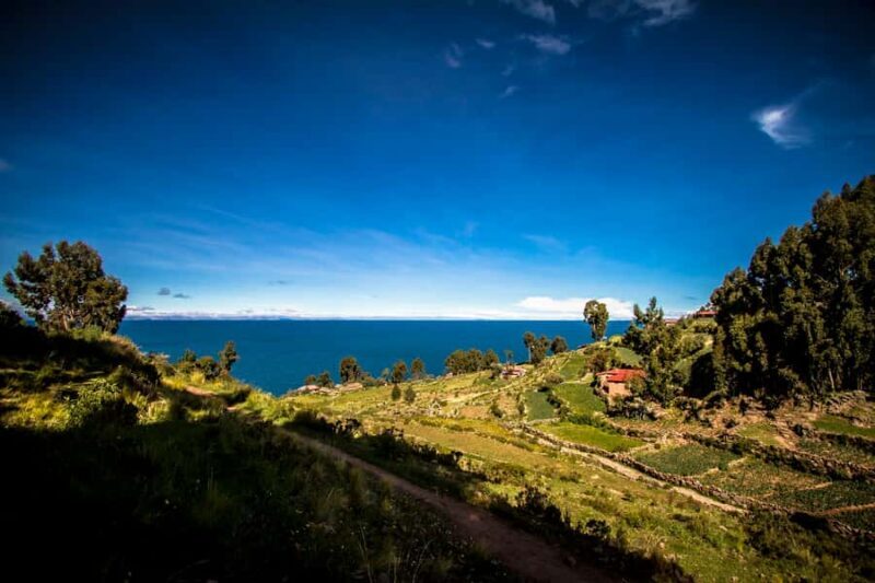 Puno: Uros and Taquile Islands Tour including lunch - FAQs