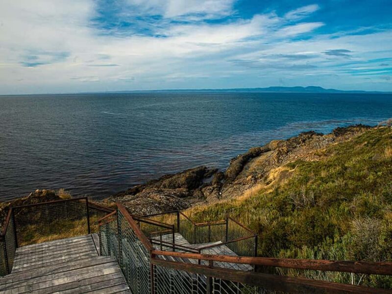 Punta Arenas: Fort Bulnes Historical Tour - Key Points