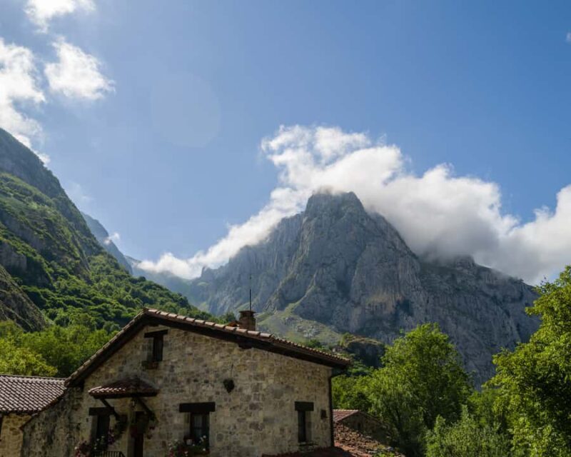 Punta Arenas: Fuerte Bulnes Shore Tour for Cruisers - A Deeper Look at the Tour Experience