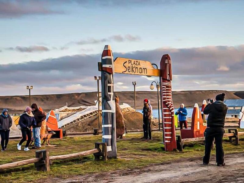 Punta Arenas: Full Day Tierra del Fuego & King Penguins - Key Points