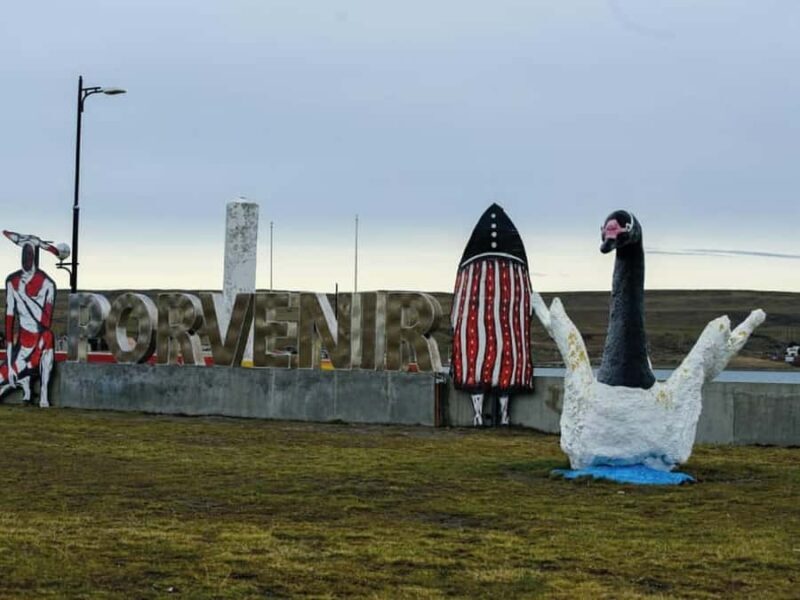 Punta Arenas: Full Day Tierra del Fuego & King Penguins - The Details: What to Expect