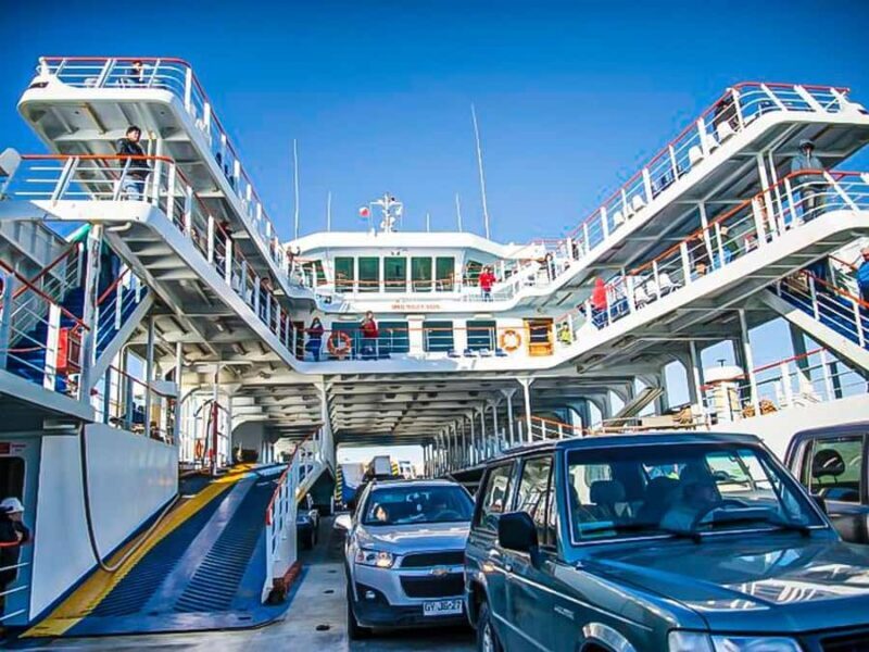 Punta Arenas: Full Day Tierra del Fuego & King Penguins - What Travelers Say: Authentic Perspectives