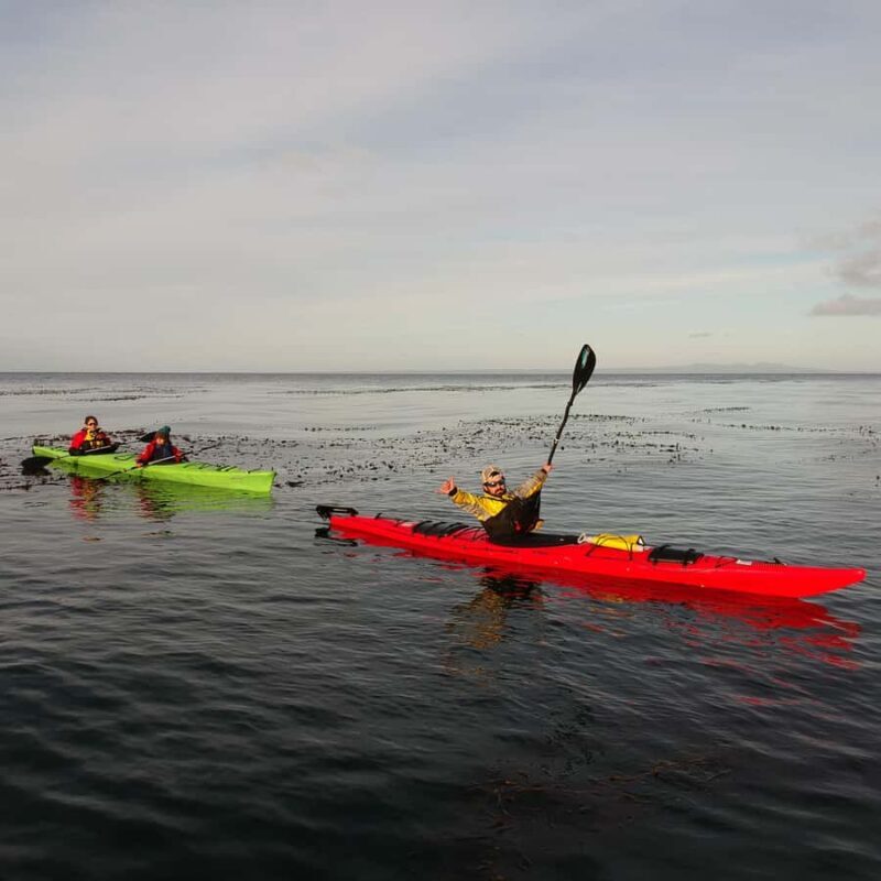 Punta Arenas: Kayaking Trip with Wildlife - Punta Arenas: Kayaking Trip with Wildlife