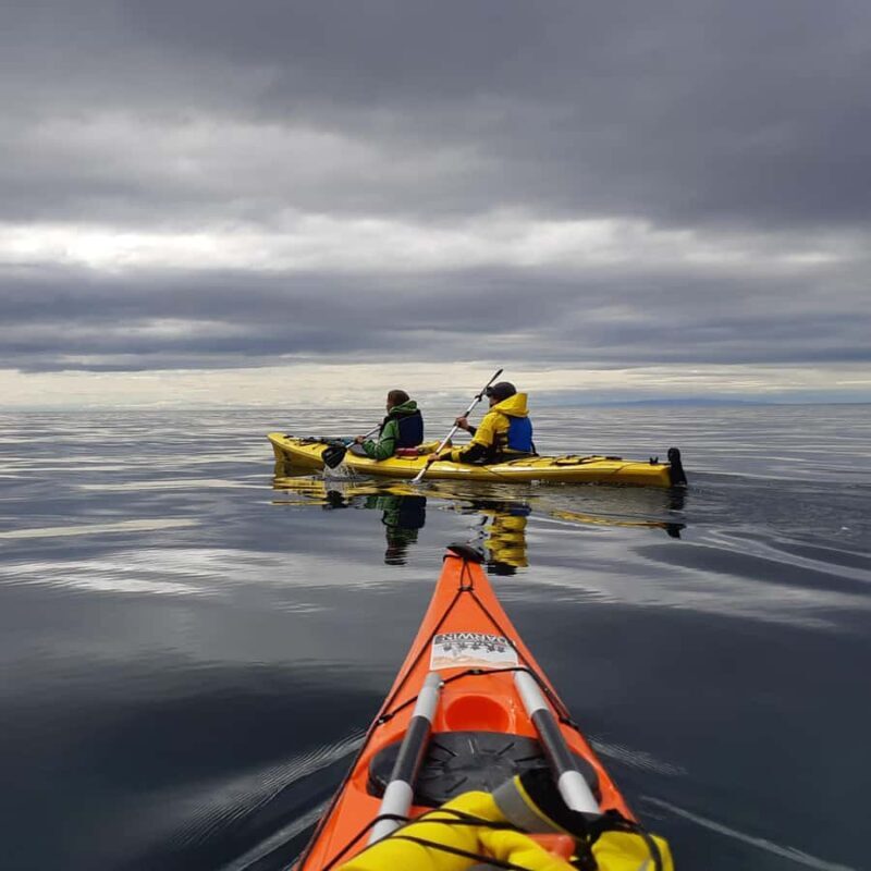 Punta Arenas: Kayaking Trip with Wildlife - Who Should Consider This Tour