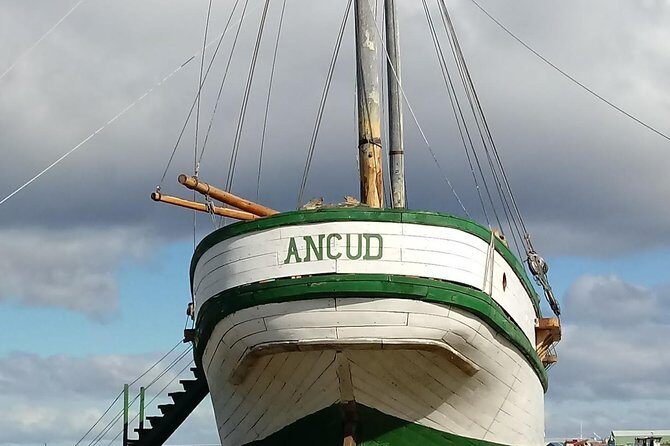 Punta Arenas & Strait of Magellan Park Value Excursion - Final Thoughts: Is This Tour Right for You?