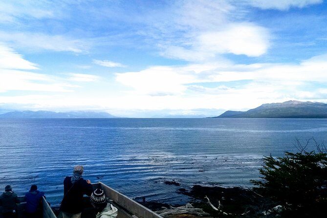 Punta Arenas & Strait of Magellan Park Value Excursion - Who Should Consider This Tour?
