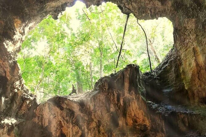 Punta Cana 3in1 Adventure: Los Haitises Park, Waterfall & Montaña - Final Thoughts