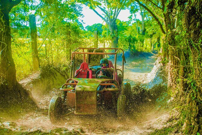 Punta Cana 4 Hours Buggy Tour Cave Macao Beach Free Pick Up - Punta Cana 4 Hours Buggy Tour Cave Macao Beach Free Pick Up: A Balanced Look at a Caribbean Off-Road Adventure