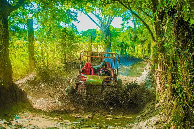 Punta Cana 4 Hours Buggy Tour Cave Macao Beach Free Pick Up - FAQs