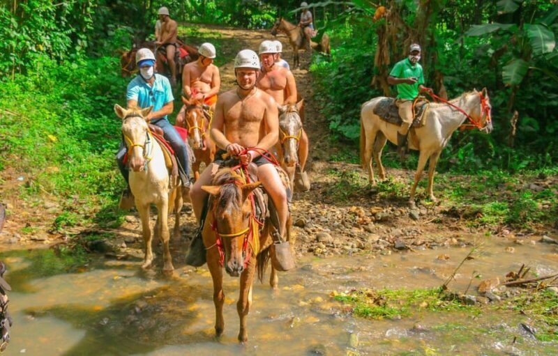 Punta Cana Adventure Combo: Zipline, Jungle Buggy & Horse - The Sum Up: Who Will Love This Tour?