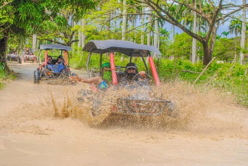 Punta Cana Adveture Booguies : Explore Beaches and Cave - Key Points