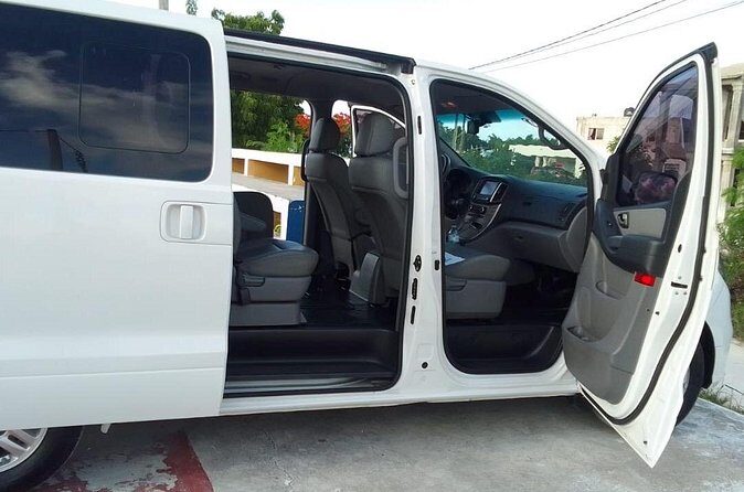 Punta Cana Airport PUJ Transfer Roundtrip to Hotels - Who Should Consider This Transfer?