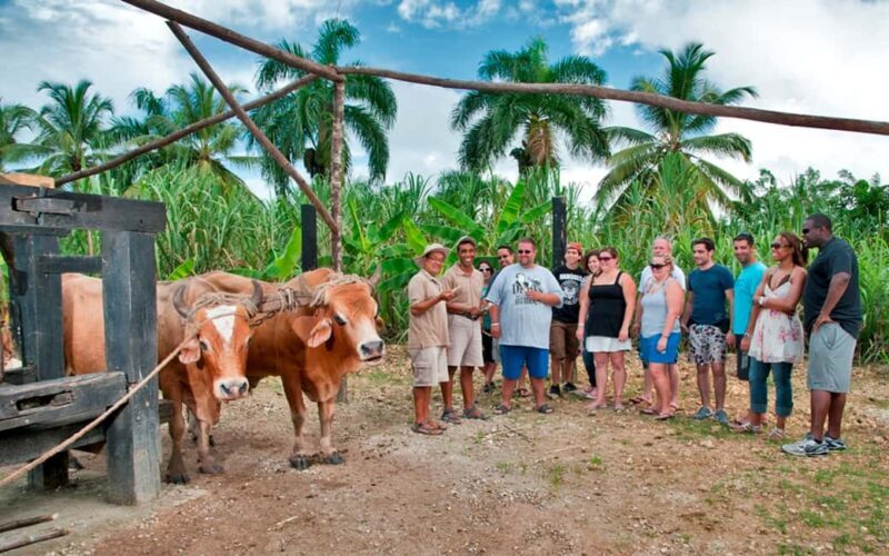 Punta Cana: Bavaro Runners Safari Tour - The Balance of Authenticity and Commercial Touches
