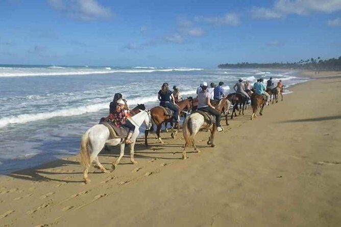 Punta Cana Beach Horseback Riding - A Detailed Look at Punta Cana Beach Horseback Riding