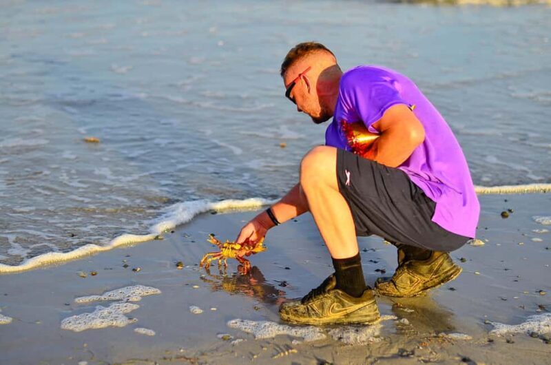 Punta Cana: Beach Sunset Horseback Riding with Hotel Pickup - Pricing, Value, and Overall Impression