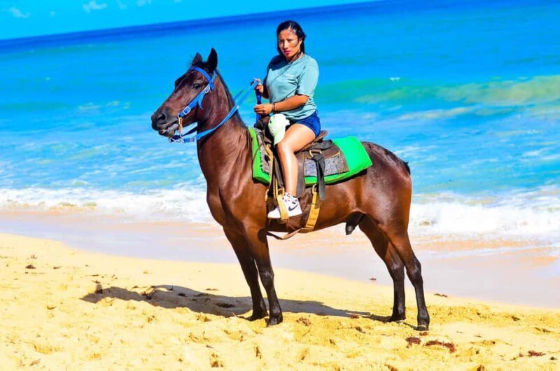 Punta Cana: Beach Sunset Horseback Riding with Hotel Pickup - Final Thoughts