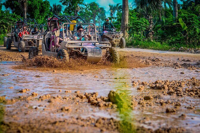 Punta cana Boogie into the Jungle with Coffee and Chocolate Taste - Exploring the Tour Itinerary in Detail