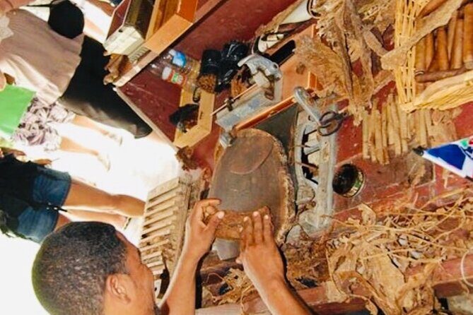 Punta Cana Buggy Adventure - Logistics and Practicalities