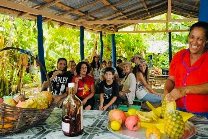 Punta Cana Buggy Adventure - Who Should Consider This Tour?