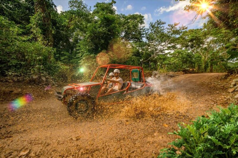 Punta Cana: Buggy and Zipline Adventure at La Hacienda - What You Should Know Before You Go