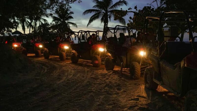 Punta Cana: Buggy Ride, Dinner and Taino Party - Key Points