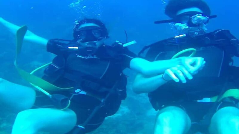 Punta Cana: Catalina Island Scuba Diving Day Trip - A Deep Dive into the Experience