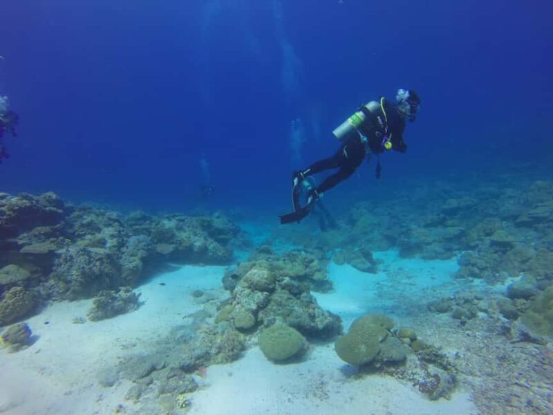 Punta Cana: Catalina Island Scuba Diving Tour with Lunch - Additional Considerations