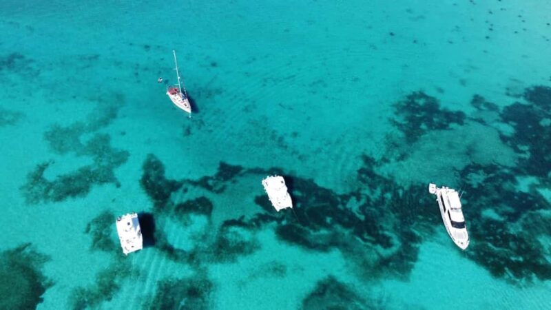 Punta Cana: Catalina Island Snorkeling and lunch Day Trip - An In-Depth Look at the Catalina Island Snorkeling Tour