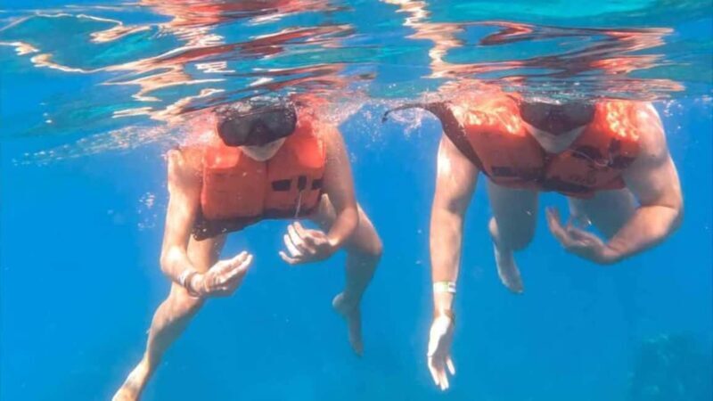 Punta Cana: Catalina Island Snorkeling Tour - Punta Cana: Catalina Island Snorkeling Tour — A Practical Escape to the Caribbean