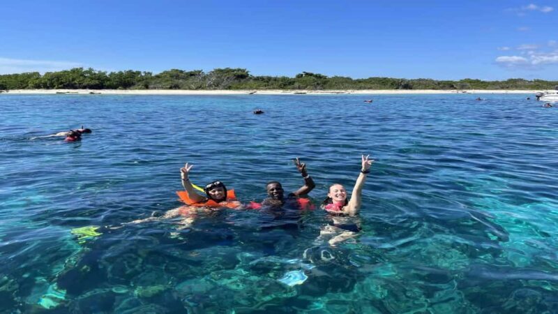 Punta Cana: Catalina Island Snorkeling Tour with Lunch - What Travelers Say